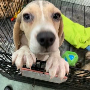 Meet your Posher, Erika